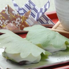 かしわ餅